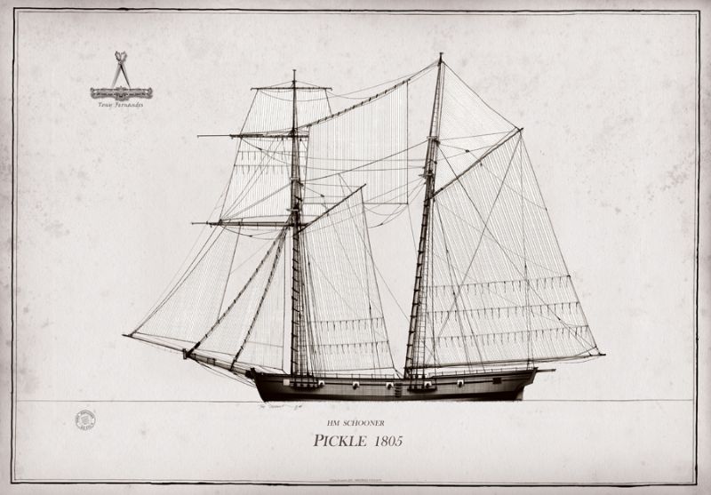 1805 HMS Pickle pen ink study by Tony Fernandes